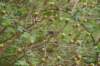 dsc01528_small.jpg