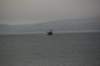 dsc01608_small.jpg