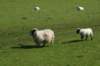 dsc01935_small.jpg