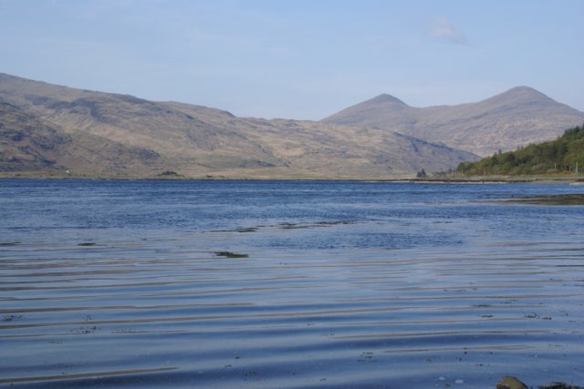 dsc01965.jpg