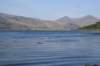dsc01965_small.jpg