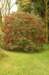 dsc05198_small.jpg