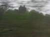 schotland2009169_small.jpg