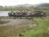 schotland2009268_small.jpg
