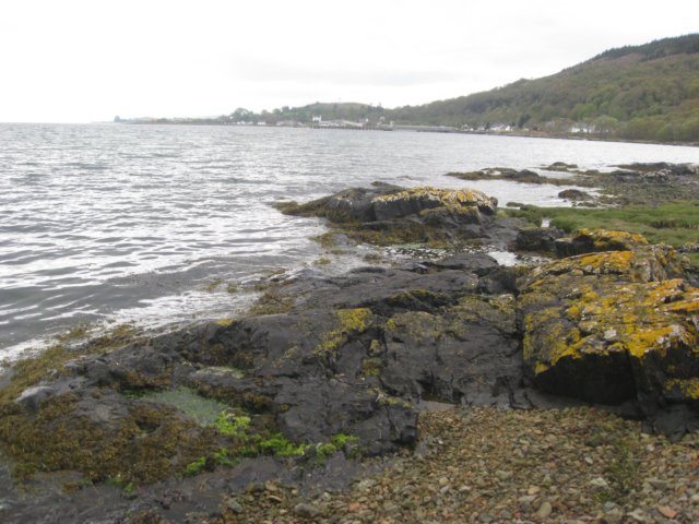 schotland2009345.jpg