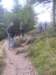 schotland2009369_small.jpg