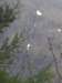 schotland2009378_small.jpg