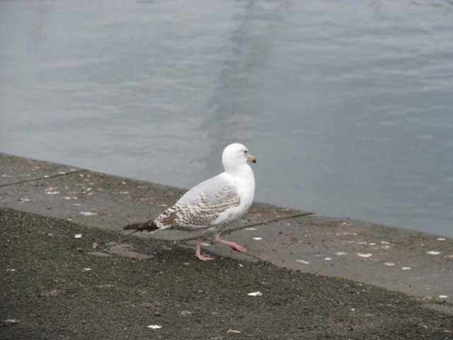 img_1206.jpg