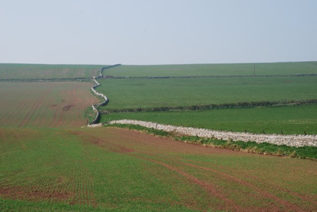 dsc_0001192.jpg