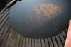 dsc_0001230_small.jpg