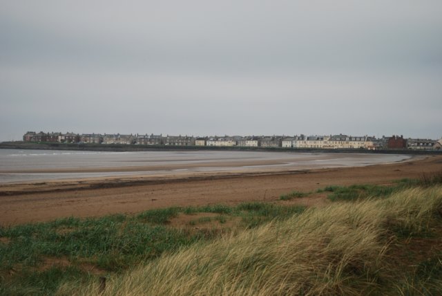 dsc_0001334.jpg