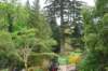 dsc_0001410_small.jpg