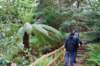 dsc_0001459_small.jpg