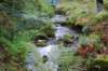 dsc_000213_small.jpg