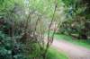 dsc_000217_small.jpg