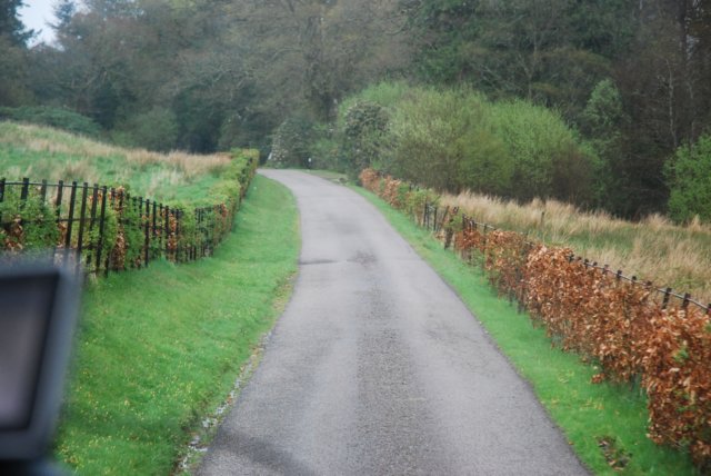 dsc_0002190.jpg