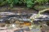 dsc_0002252_small.jpg