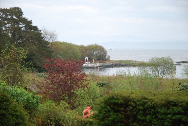 dsc_0002349.jpg