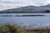 dsc_000310_small.jpg