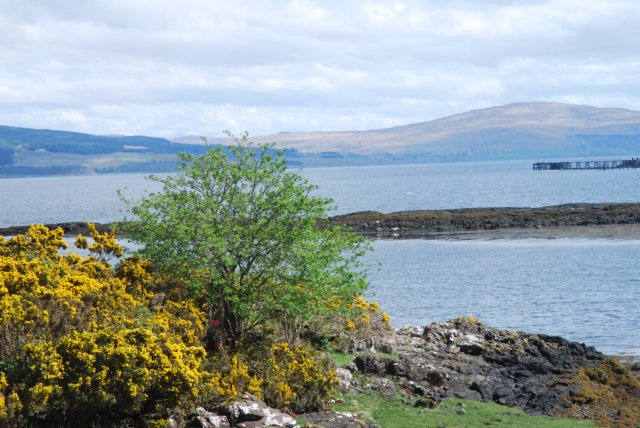 dsc_000313.jpg
