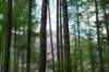 dsc_0003322_small.jpg