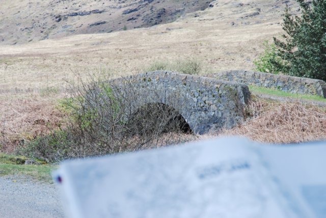 dsc_000346.jpg