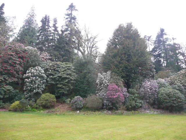 p1020446.jpg