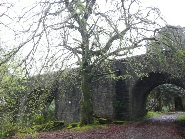 p1020525.jpg