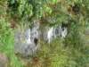 p1020562_small.jpg