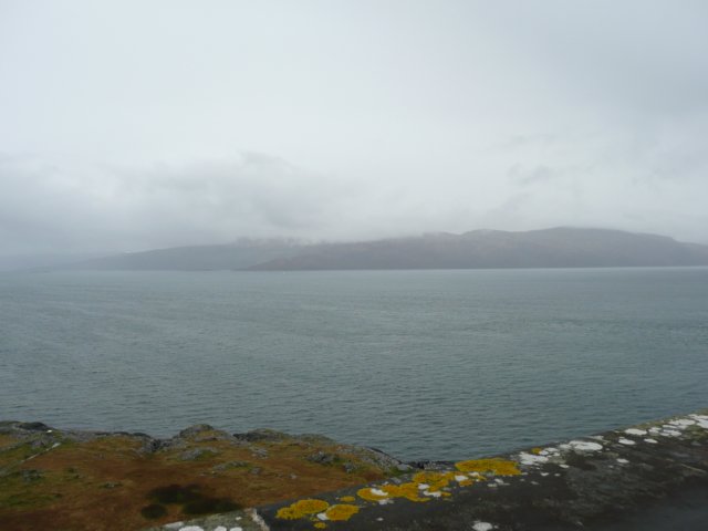 p1020575.jpg