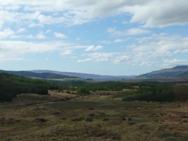 p1020669.jpg