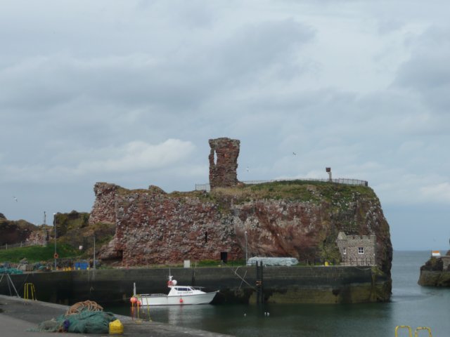 p1020914.jpg